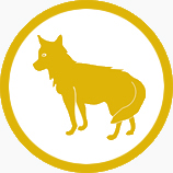 Coyote Removal
